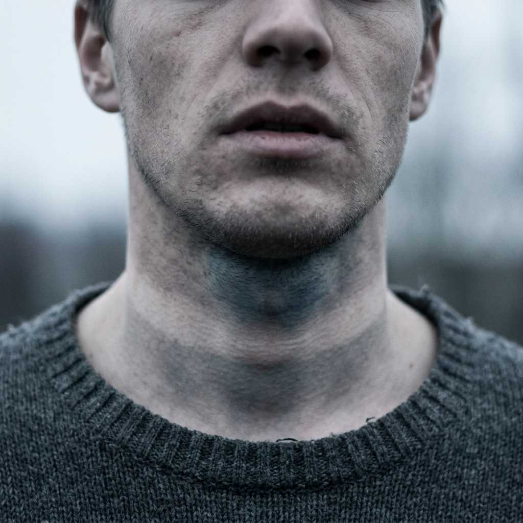 Cover for The Third Self